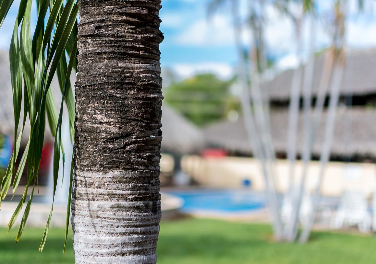 Hotel Guanacaste Lodge Playa Flamingo Exterior photo